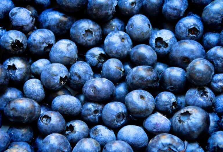 Bilberries, Blueberries, for eye health