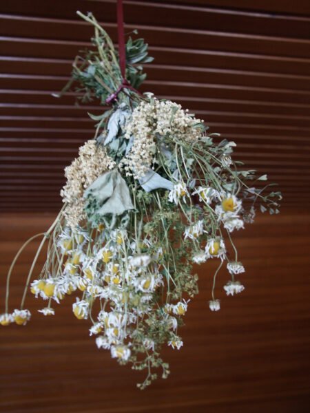 Drying herbs by hanging them on a ribbon.