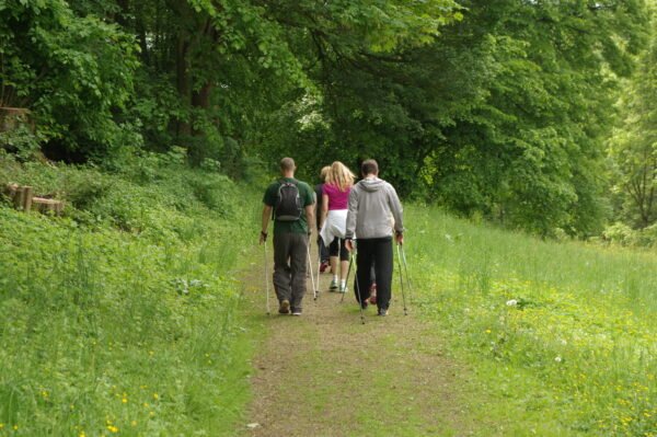 herb walk for foraging in nature
