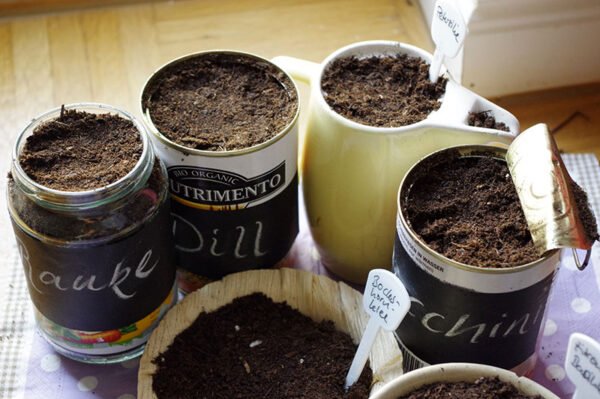 Herb seeds in various old upcycles containers, such as tin cans, bamboo bowls, ceramic milk can.